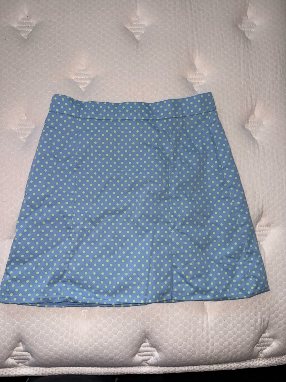 28. Zara Blue Polka Dot A-Line Skirt
